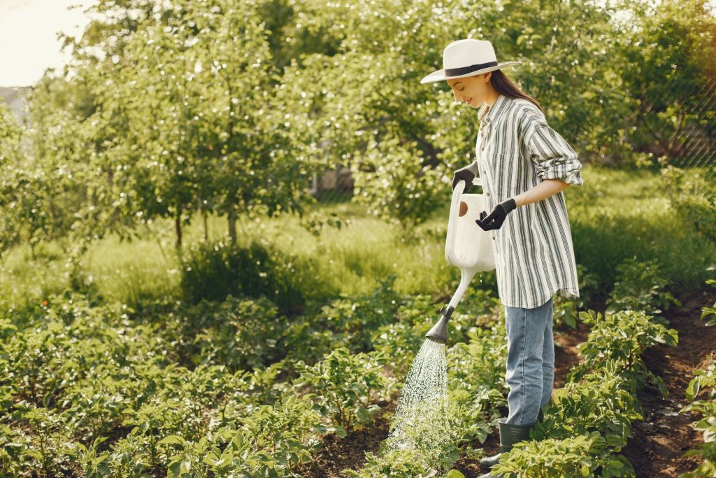 A woman in a hat and a hat is watering a garden.