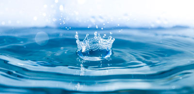 About Us: A regal water drop with a crown, symbolizing our royal dedication